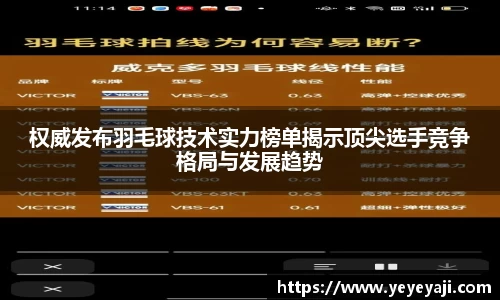 权威发布羽毛球技术实力榜单揭示顶尖选手竞争格局与发展趋势